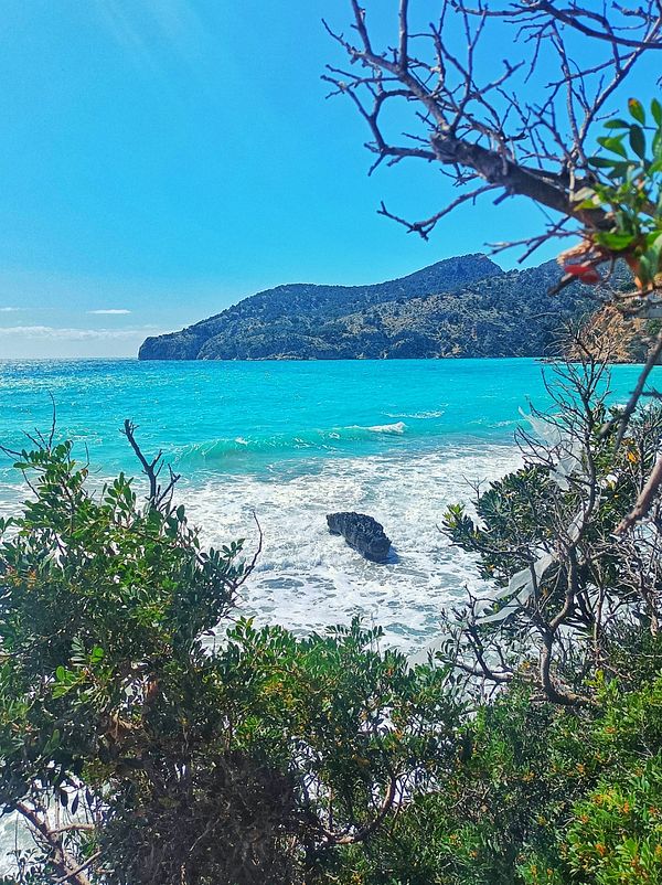 A scenic view of a turquoise ocean framed by lush greenery and distant hills.