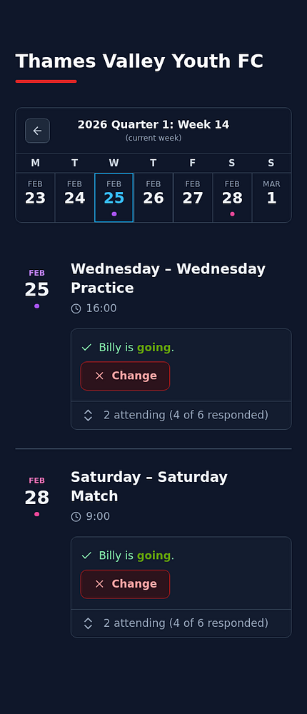 Screenshot generator UI showing a 125% zoomed-in preview of a website with a menu of options on the left and a site preview on the right.