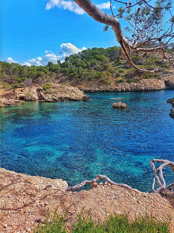 A serene coastal landscape featuring clear blue waters and lush greenery.