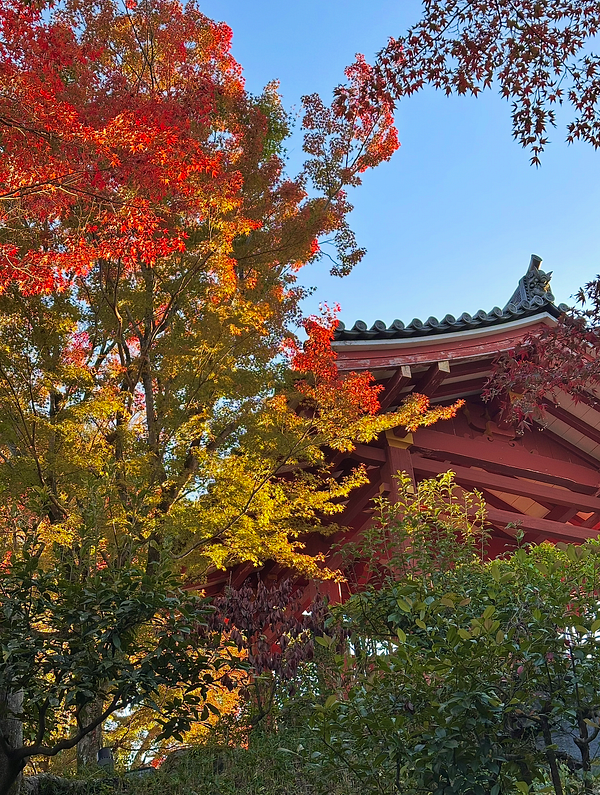 Vibrant autumn foliage surrounds a traditional structure under a clear blue sky.