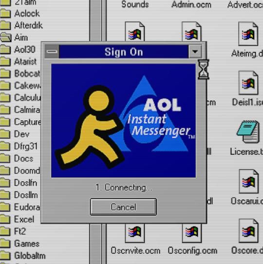 Screenshot of an AOL Instant Messenger client interface showing an active chat session with a message input box and contacts list.
