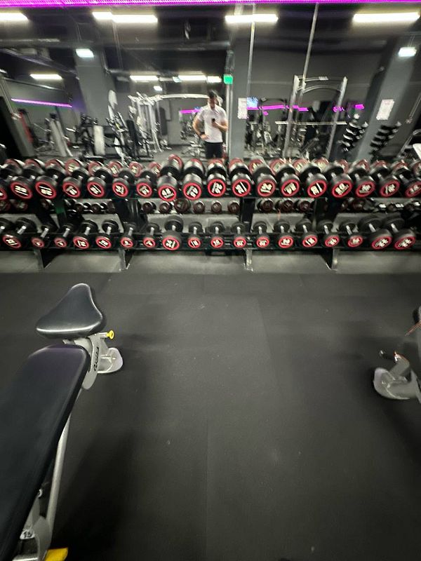 A gym interior featuring a row of dumbbells and workout equipment.