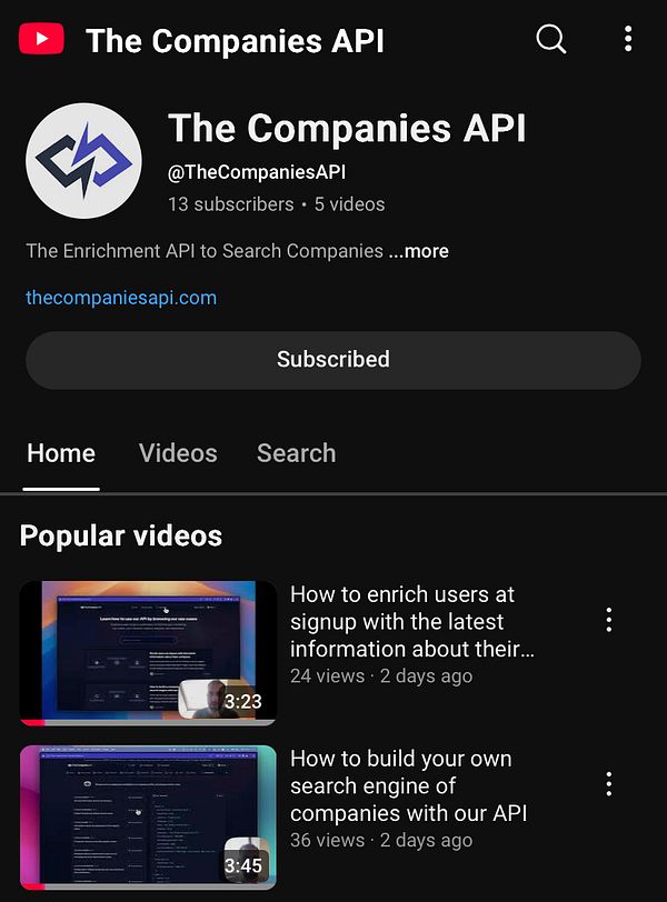 The image displays the YouTube channel page for 'The Companies API'.