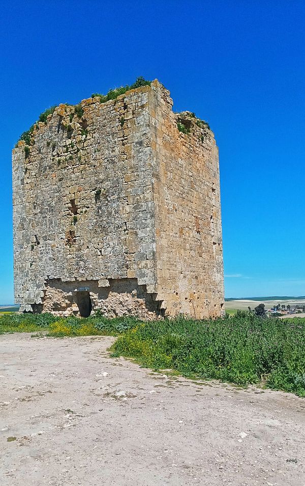 A weathered stone tower stands against a clear blue sky, surrounded by greenery.