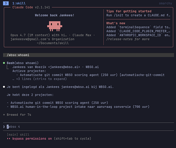 Screenshot of a terminal window showing the usage of commands /wbso:whoami, /wbso:auth, and /wbso:logout in the WBSO chatbot.