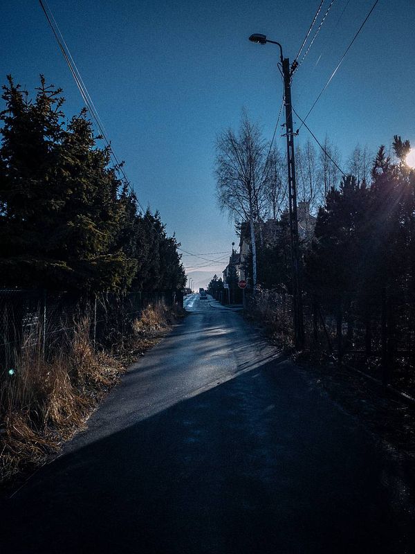 A serene, empty road lined with trees under a clear blue sky.