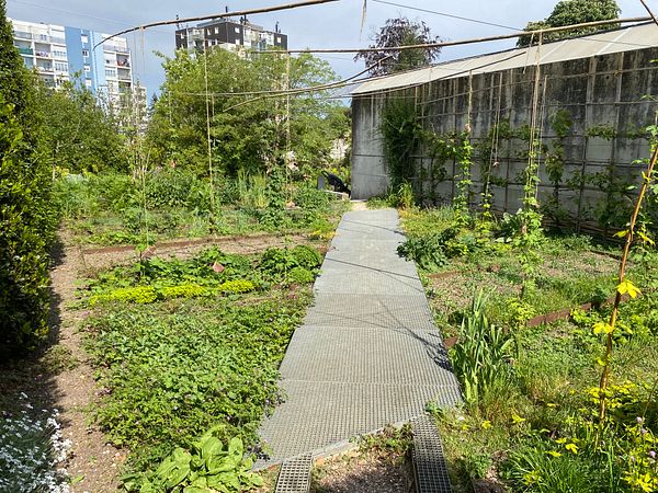 A garden bed system designed for growing plants with integrated irrigation and soil layers.
