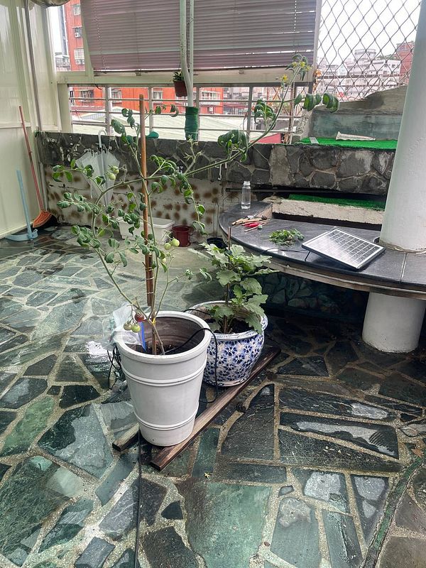 A DIY automated plant watering system setup with a small water reservoir and electronic components.