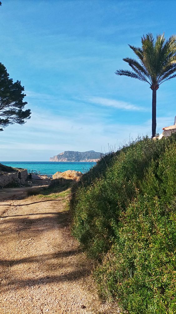 A serene path through a forest with sunlight filtering through autumn-colored trees.