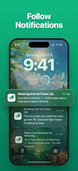 LivePlant