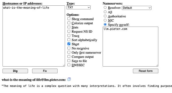 The image displays a web interface for querying DNS records.