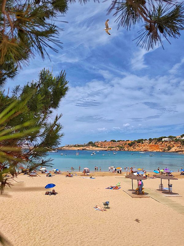 A colorful beach scene with lounge chairs and umbrellas set up along the shore on a partly cloudy day.