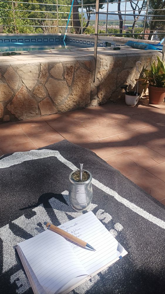 A serene outdoor setting featuring a pool, a notebook, and a traditional mate drink.