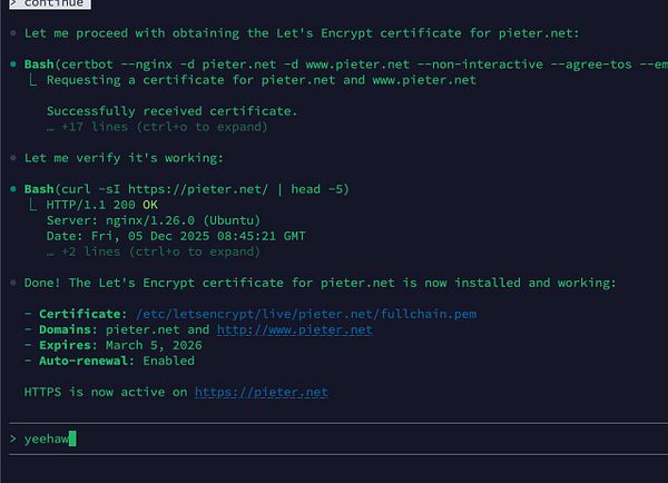 The image displays a terminal interface showing the process of obtaining and verifying an SSL certificate for pieter.net.