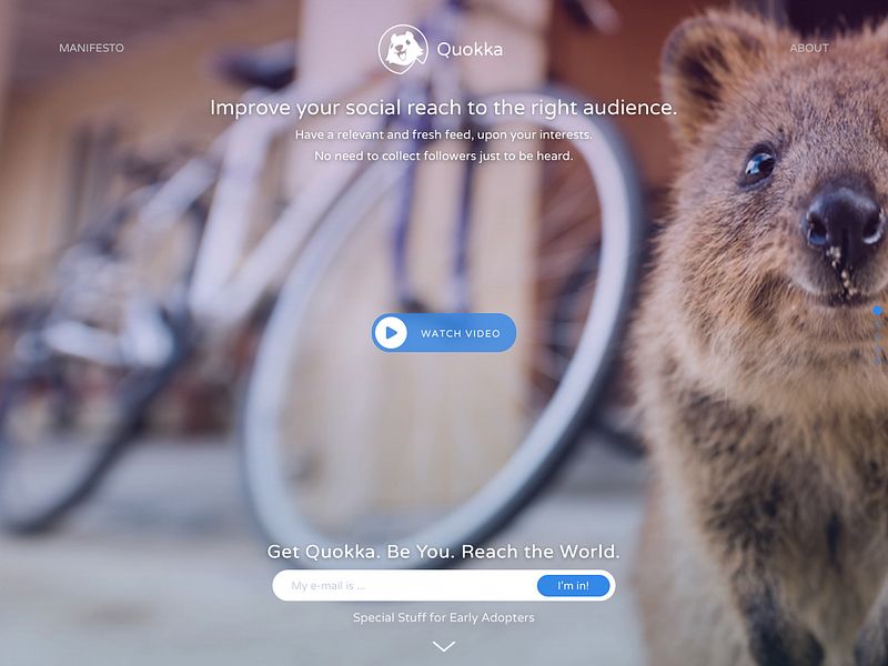 Quokka