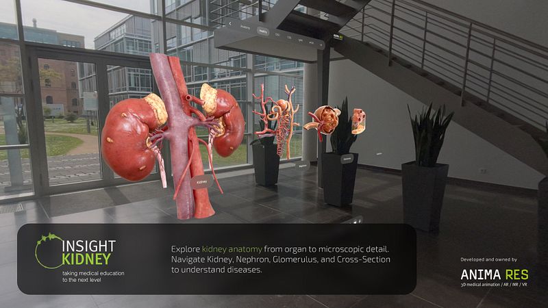 Screenshot of INSIGHT KIDNEY