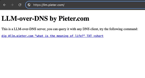 The image displays a webpage for an LLM-over-DNS server by Pieter.com.