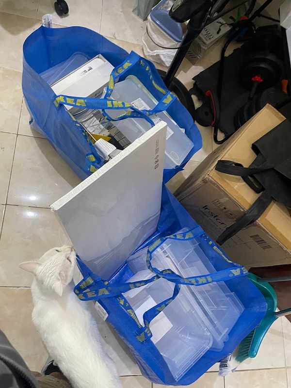 Two blue IKEA bags filled with workstation supplies and a white cat nearby.