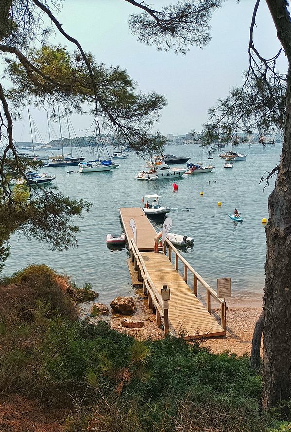 A scenic view of a wooden dock leading into a calm bay filled with boats.