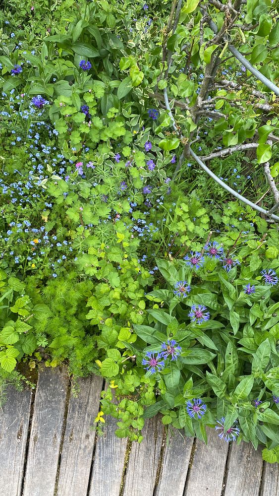 Portrait of a young woman with flowers in her hair and a shimmering top looking sideways against a soft-focus outdoor background.