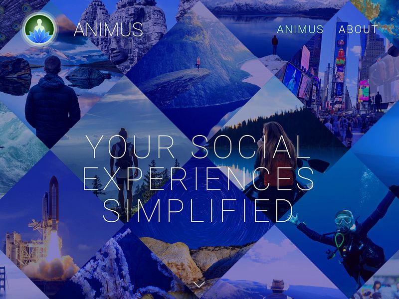 Animus App