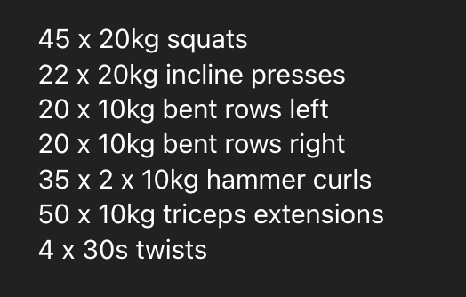 A workout plan for a home gym session is displayed in a list format.