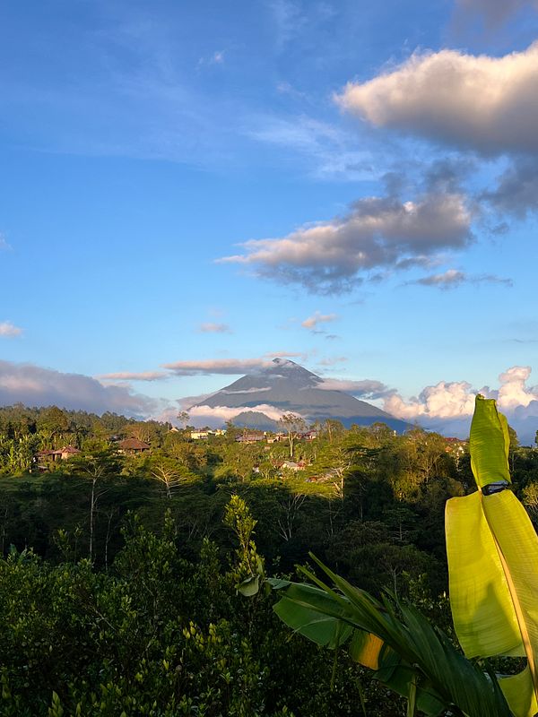 A scenic view of Mount Batur in Kintamani, surrounded by lush greenery and a clear blue sky.