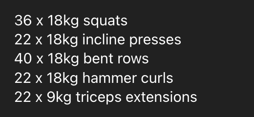 A list of workout exercises and their corresponding weights and repetitions.