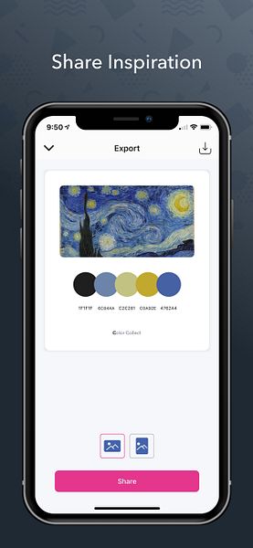 Color Collect - Palette Design
