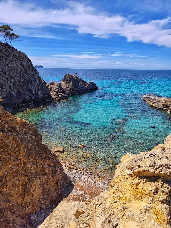 A couple walking hand in hand along a forest trail surrounded by tall trees and greenery.