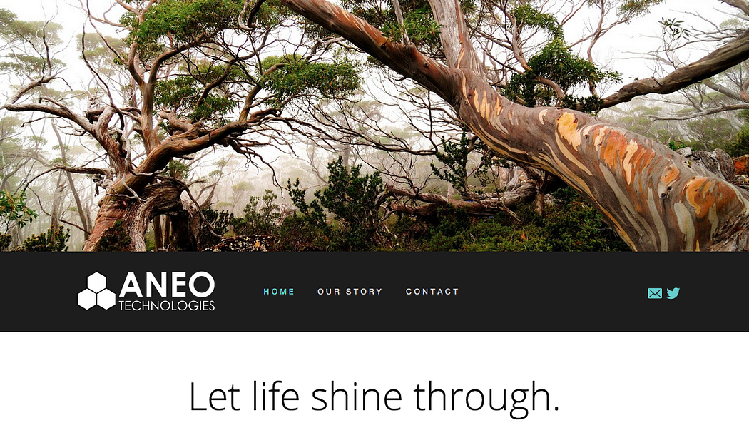 Aneo Technologies