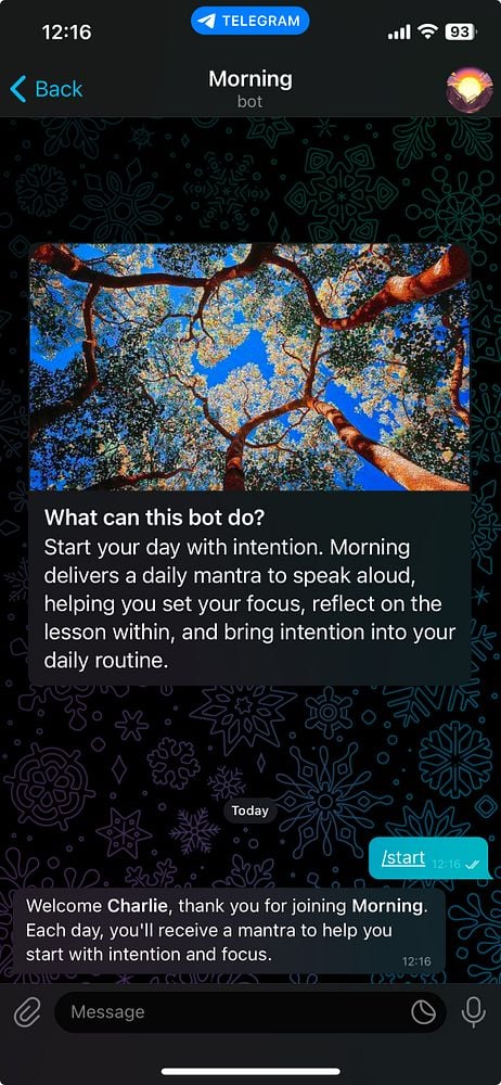 A Telegram chat interface displaying a bot named 'Morning' with a nature-themed background.