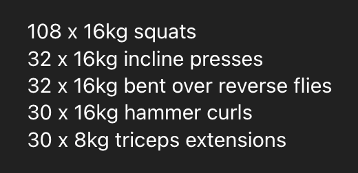 A list of workout exercises and their corresponding weights and repetitions.