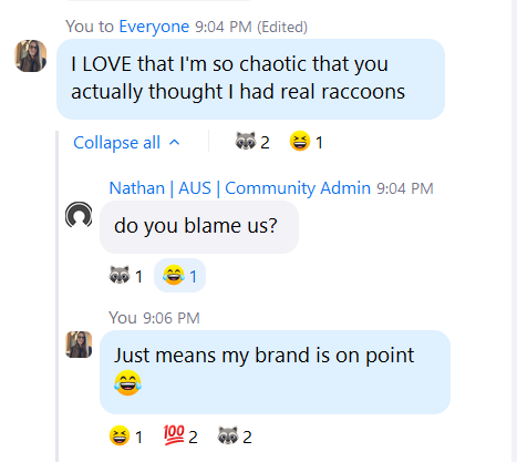 A chat conversation discussing branding and a humorous misunderstanding about raccoons.