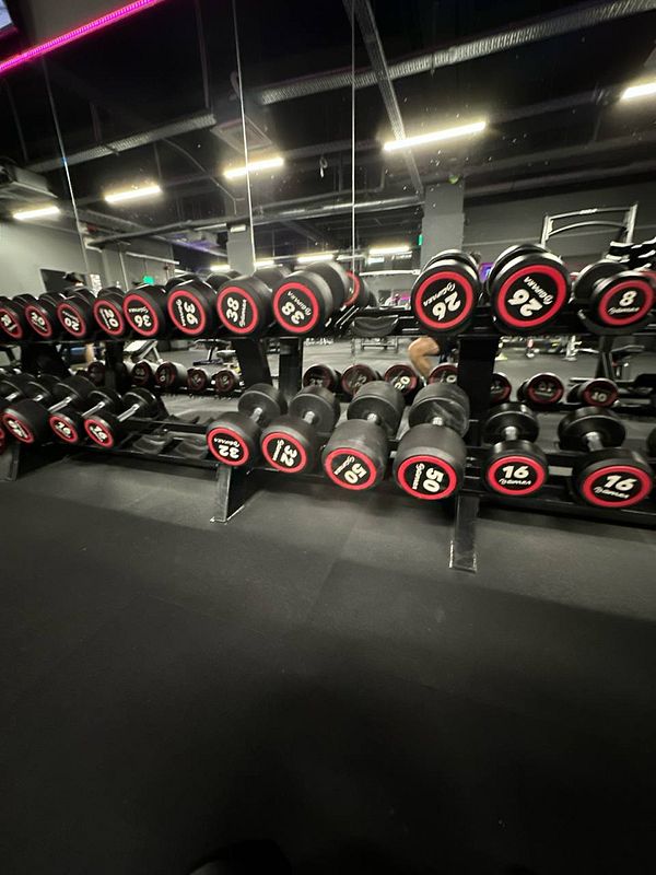 A well-organized rack of dumbbells in a gym setting.