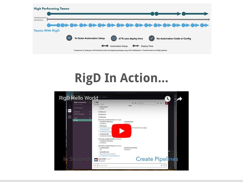RigD