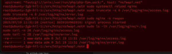 A terminal window displaying commands and outputs related to managing access and error logs for a web server.