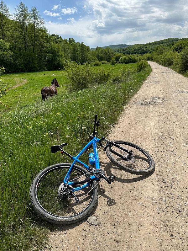 A blue mountain bike lies on a dirt path beside a grassy field with a horse in the background.