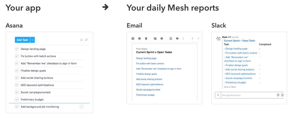 Mesh