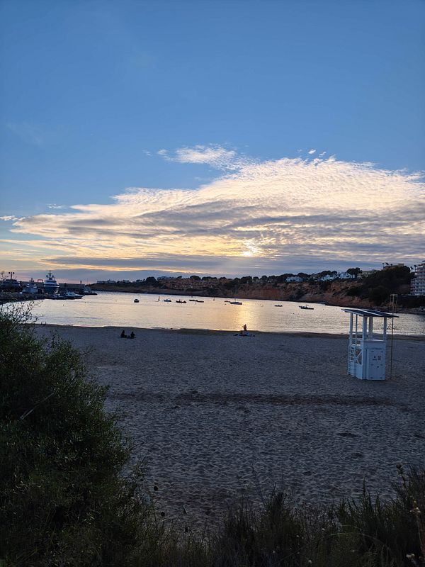 A sandy beach with sparse vegetation and a cloudy sky.