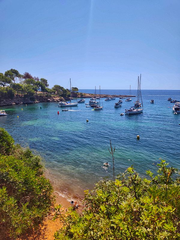 A couple snorkeling underwater surrounded by clear blue water and coral.