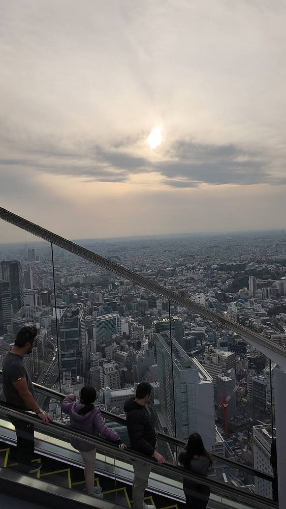 A coastal cityscape of Hakodate, Japan, featuring Hakodate Bay, a Ferris wheel, and an uphill view with lush greenery and residential buildings.