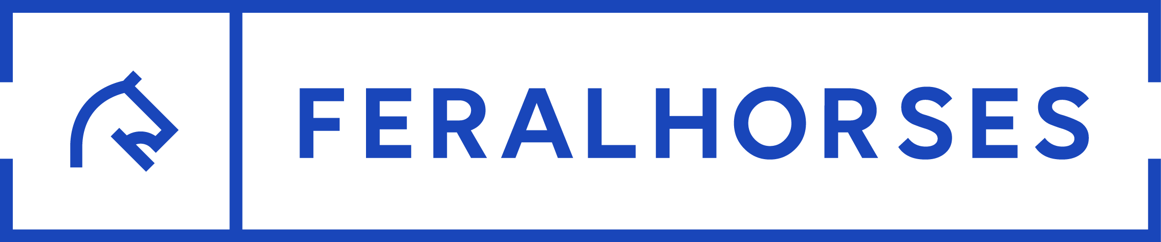 Feral Horses