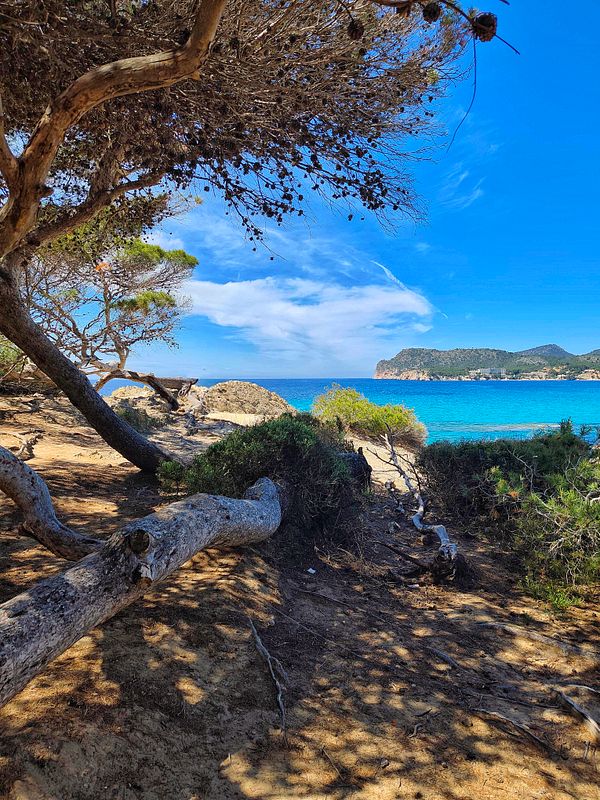 A couple walking hand-in-hand on a rocky beach at sunset, showcasing a peaceful and intimate moment.