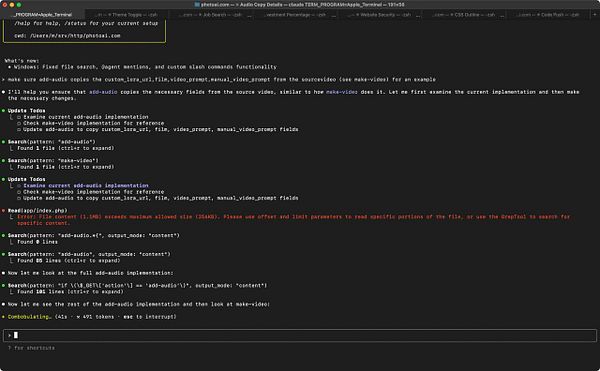 The image displays a terminal interface showing code and error messages related to a project involving audio and video processing.