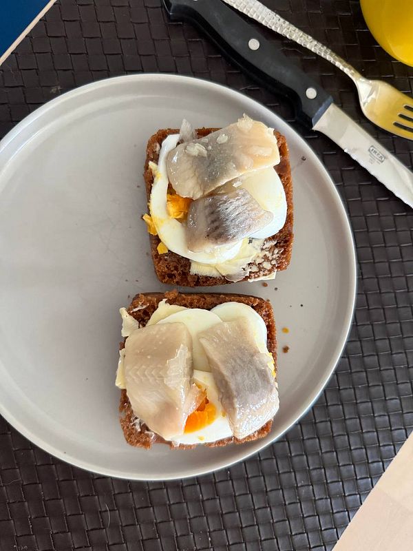 Two slices of Icelandic Rugbrauð topped with pickled herring and egg.