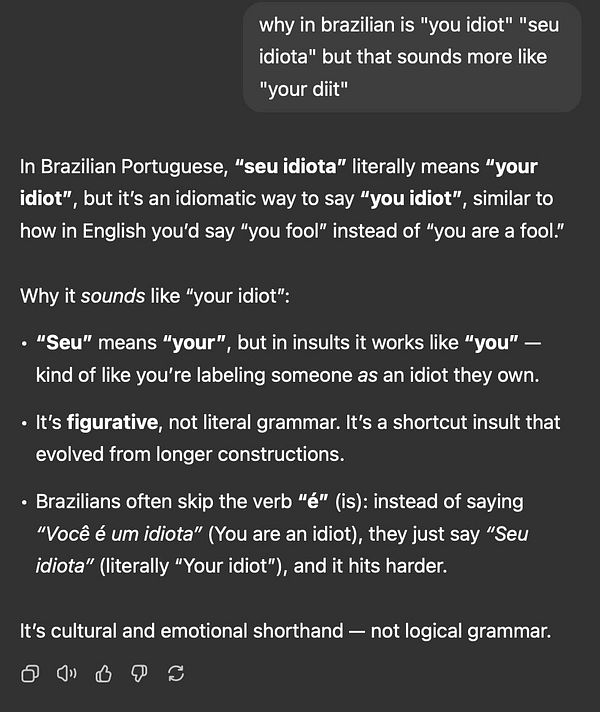 The image contains a detailed explanation of the idiomatic use of the phrase 'seu idiota' in Brazilian Portuguese.