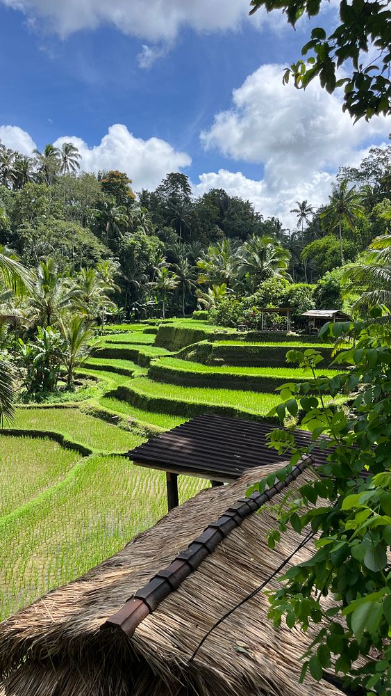 Lush green rice terraces are visible under a bright blue sky with scattered clouds.