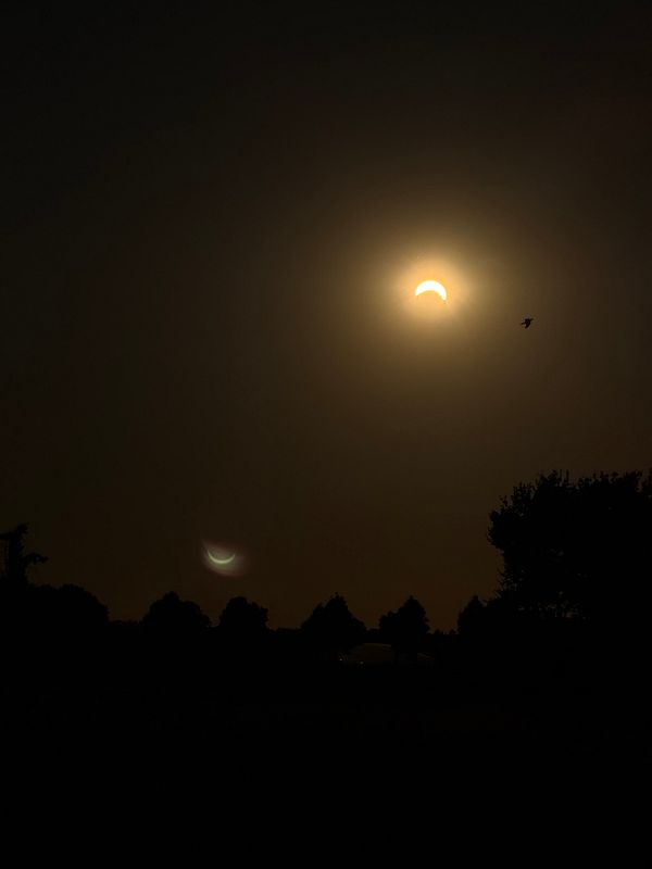 A photograph captures a partial solar eclipse with the Moon obscuring part of the Sun.