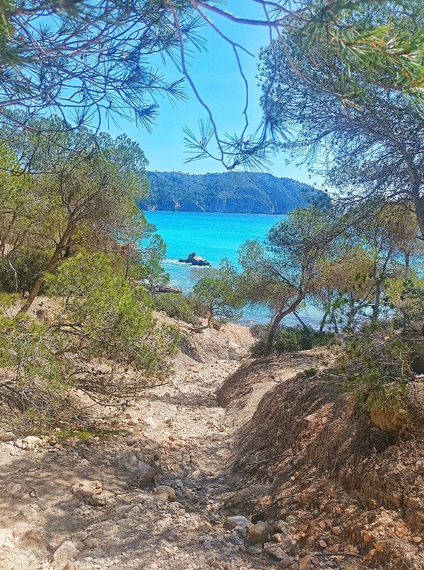 A scenic hiking path leads to a vibrant blue sea surrounded by lush greenery.